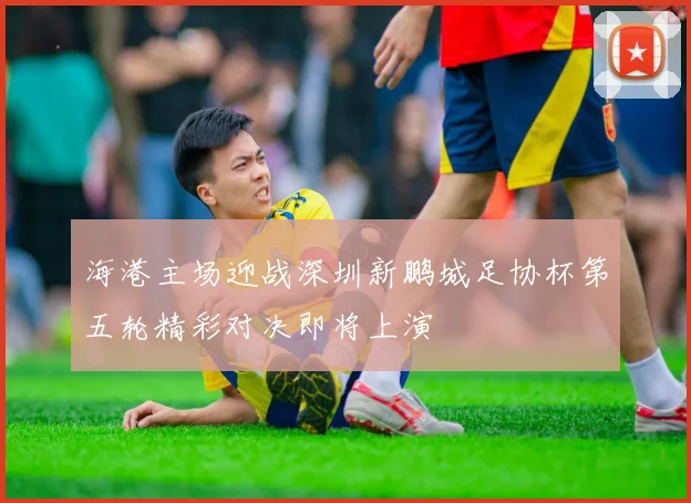 海港主场迎战深圳新鹏城足协杯第五轮精彩对决即将上演
