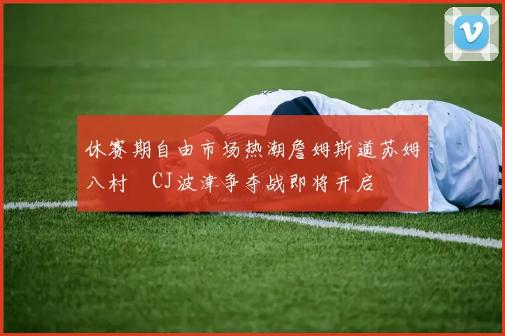 休赛期自由市场热潮詹姆斯道苏姆八村塁CJ波津争夺战即将开启